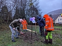 Pflanzaktion in Bebra (Foto: Stadt Sondershausen)
