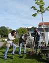 Pflanze deinen Strauch (Foto: Stadtjugendring Sondershausen)
