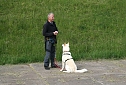Therapie-Hunde am Stausee Kelbra (Foto: Ulrich Reinboth)