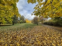 Der Herbst im Park (Foto: K.Knittel) Der Herbst im Park (Foto: K.Knittel)
