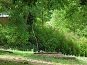 Bel&uuml;ftung Parksee (Foto: Karl-Heinz Herrmann)