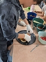 Für die kleinen Schweinchen werden Namen gesucht. (Foto: Nancy Pätzold) Für die kleinen Schweinchen werden Namen gesucht. (Foto: Nancy Pätzold)