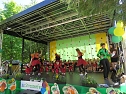 Das Stra&szlig;enfest der Kindervilla in Bad Frankenhausen wurde zum Wiesenfest (Foto: Katrin Milde)