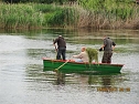 Arbeitseinsatz im Schwimmbad (Foto: Stadt Heldrungen)