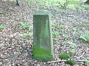 Vergessene Grenzsteine (Foto: Karl-Heinz Herrmann)