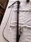 Gut