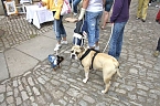 Auf Handwerkermarkt (Foto: Hans-J&uuml;rgen Schmidt)