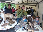 Fest in Kinderhand (Foto: Karl-Heinz Herrmann)