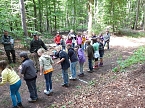 Bild: Waldjugendspiele begeisterten (Foto: Karl-Heinz Herrmann)