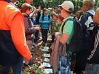 Bild: Waldjugendspiele begeisterten (Foto: Karl-Heinz Herrmann)