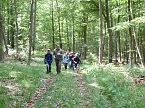 Bild: Waldjugendspiele begeisterten (Foto: Karl-Heinz Herrmann)