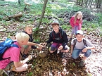 Bild: Waldjugendspiele begeisterten (Foto: Karl-Heinz Herrmann)