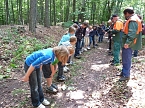 Bild: Waldjugendspiele begeisterten (Foto: Karl-Heinz Herrmann)