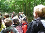 Bild: Waldjugendspiele begeisterten (Foto: Karl-Heinz Herrmann)