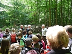 Bild: Waldjugendspiele begeisterten (Foto: Karl-Heinz Herrmann)