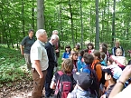 Bild: Waldjugendspiele begeisterten (Foto: Karl-Heinz Herrmann)