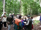 Bild: Waldjugendspiele begeisterten (Foto: Karl-Heinz Herrmann)
