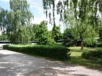 Bild: Waldjugendspiele begeisterten (Foto: Karl-Heinz Herrmann)