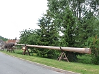 Laubk&ouml;nig gekr&ouml;nt (Foto: Karl-Heinz Herrmann)