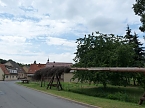 Laubk&ouml;nig gekr&ouml;nt (Foto: Karl-Heinz Herrmann)