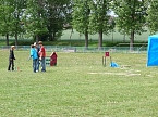 Laubk&ouml;nig gekr&ouml;nt (Foto: Karl-Heinz Herrmann)