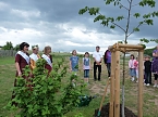 Laubk&ouml;nig gekr&ouml;nt (Foto: Karl-Heinz Herrmann)