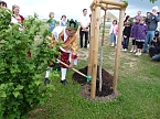 Laubk&ouml;nig gekr&ouml;nt (Foto: Karl-Heinz Herrmann)