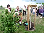 Laubk&ouml;nig gekr&ouml;nt (Foto: Karl-Heinz Herrmann)