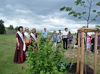 Laubk&ouml;nig gekr&ouml;nt (Foto: Karl-Heinz Herrmann)