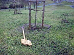 Wieder Randaliert (Foto: Karl-Heinz Herrmann)