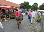 Der Trick mit den Stadtmusikanten (Foto: Karl-Heinz Herrmann)