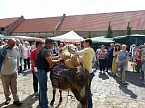 Der Trick mit den Stadtmusikanten (Foto: Karl-Heinz Herrmann)