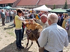 Der Trick mit den Stadtmusikanten (Foto: Karl-Heinz Herrmann)