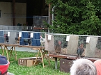 Schnabel aufgerissen (Foto: Karl-Heinz Herrmann)
