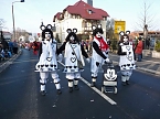 Was f&uuml;r ein Umzug (3) (Foto: Karl-Heinz Herrmann)