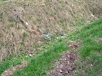 Armes F&uuml;chslein (Foto: Karl-Heinz Herrmann)