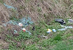 Armes F&uuml;chslein (Foto: Karl-Heinz Herrmann)