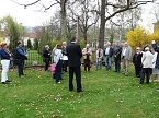 Der besondere Apfelbaum (Foto: Karl-Heinz Herrmann)