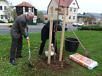 Der besondere Apfelbaum (Foto: Karl-Heinz Herrmann)
