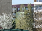 Gef&auml;hrliche Nachbarschaft (Foto: Karl-Heinz Herrmann)
