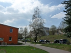 Gef&auml;hrliche Nachbarschaft (Foto: Karl-Heinz Herrmann)