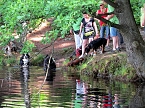 Bild: 4 Pfoten Hundeclub (Foto: Erna Michael)