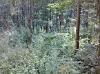 Aufpassen am Wanderweg (Foto: Karl-Heinz Herrmann)