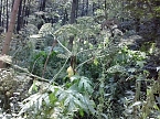 Aufpassen am Wanderweg (Foto: Karl-Heinz Herrmann)