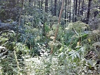 Aufpassen am Wanderweg (Foto: Karl-Heinz Herrmann)