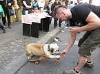 1. Mai in Berlin Kreuzberg (Foto: nnz) 1. Mai in Berlin Kreuzberg (Foto: nnz)