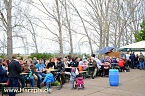 Fischfest (Foto: nnz-City Scout Sven G&auml;mkow)