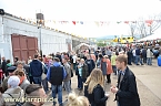 Fischfest (Foto: nnz-City Scout Sven G&auml;mkow)