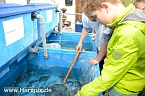 Fischfest (Foto: nnz-City Scout Sven G&auml;mkow)