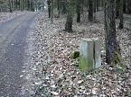 Kleindenkmale vergammeln (Foto: Privat)